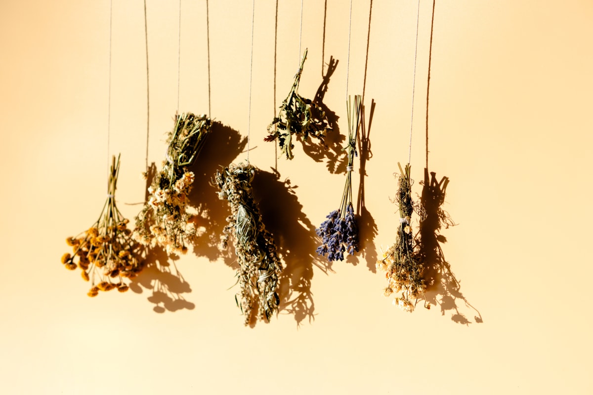 Seasonal wellness practices